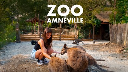Zoo d'Amneville